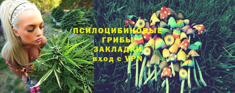 Галлюциногенные грибы Magic Shrooms  наркотики  Анапа 